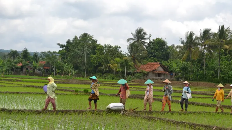 Aktivitas di Desa Dayah Reubee 2